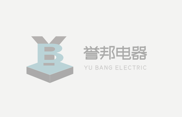 Current Situation and Future Prospect of China 's Electric Iron Market Demand